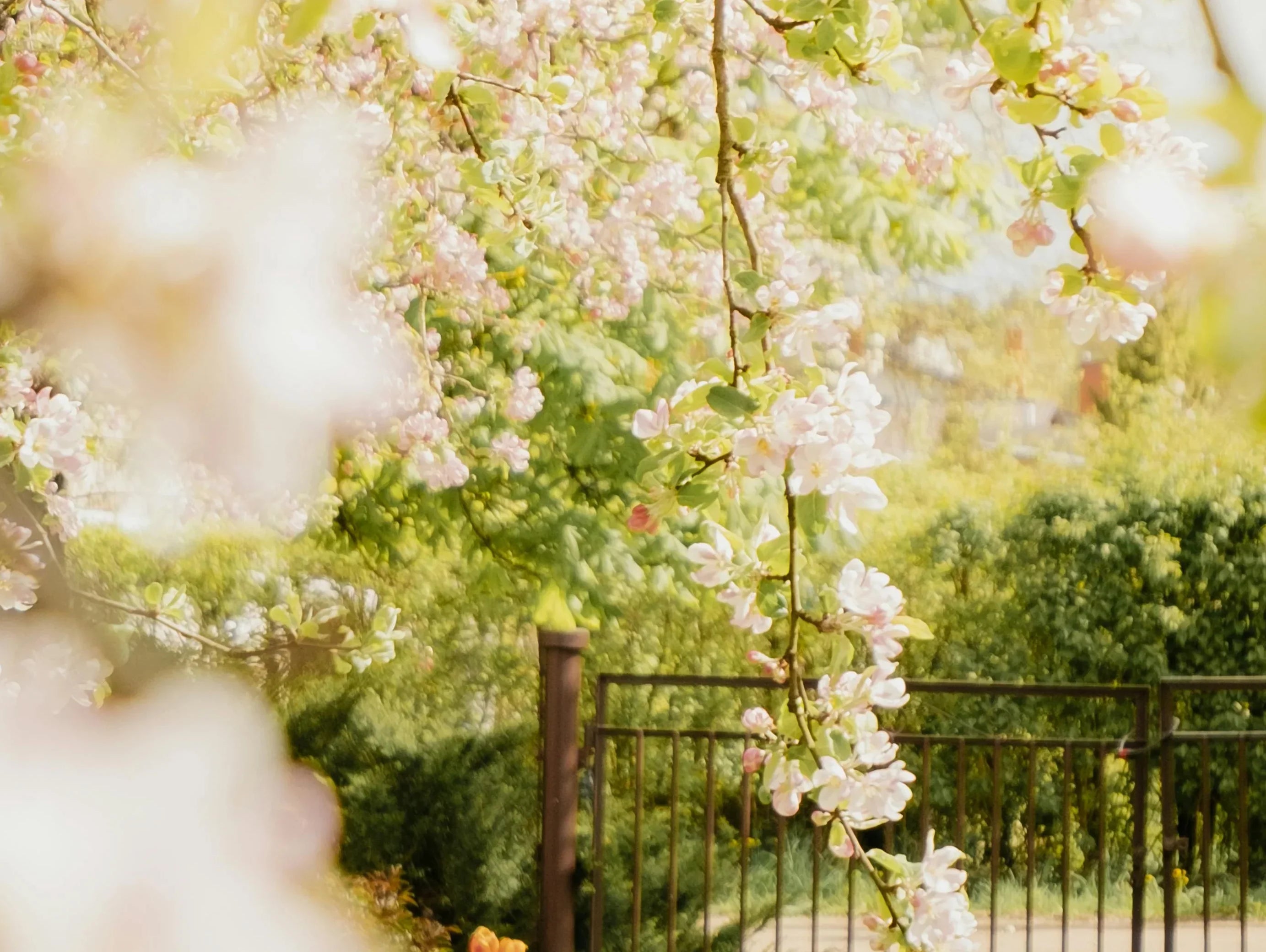 Spring Cleaning, But Make It Green