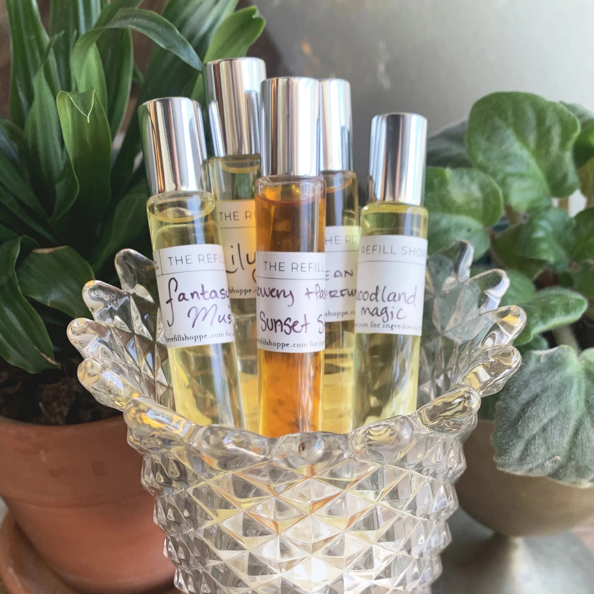 Set of perfume bottles in a decorative glass holder with plants in the background