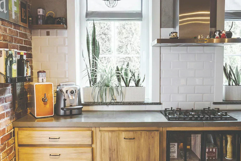 Sustainable Kitchen Swaps for your Home