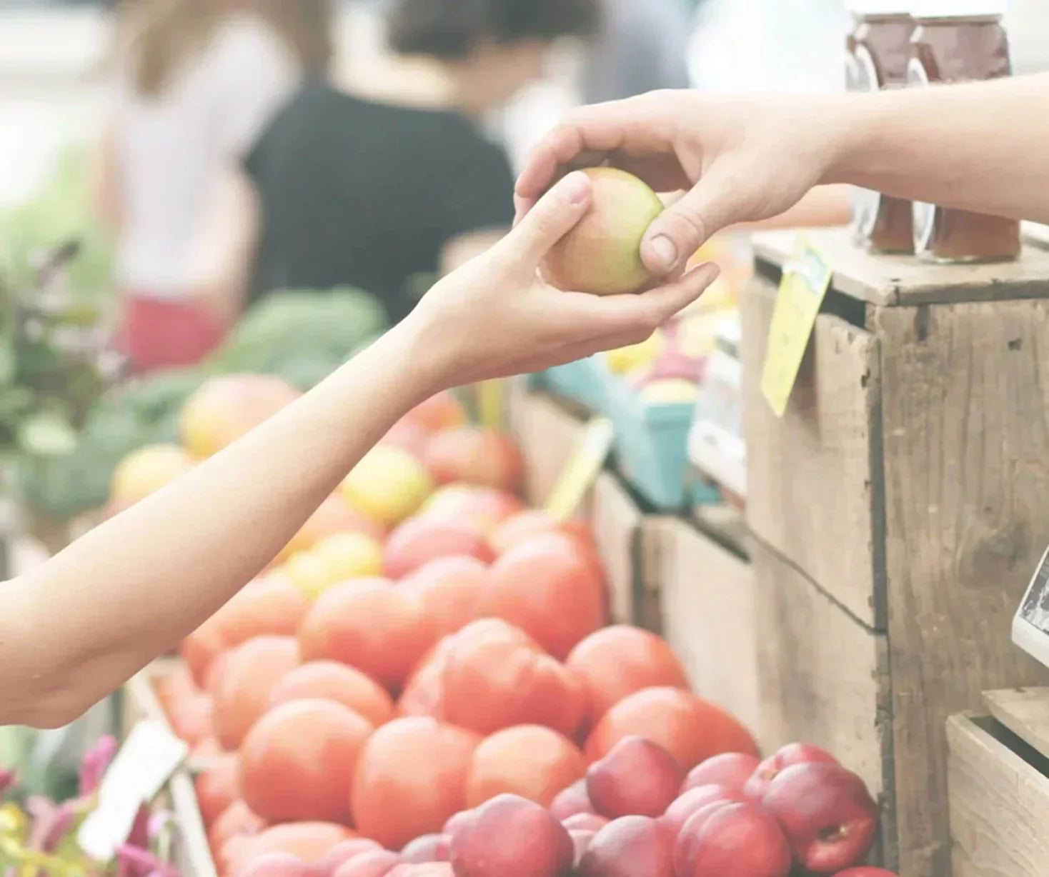 Your Guide to Zero-Waste Grocery Shopping