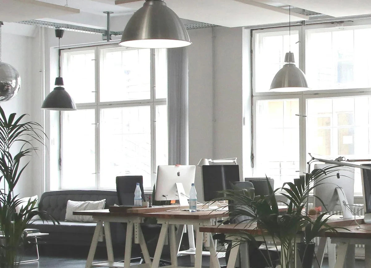 The Green Office: An Eco-Friendly Workspace