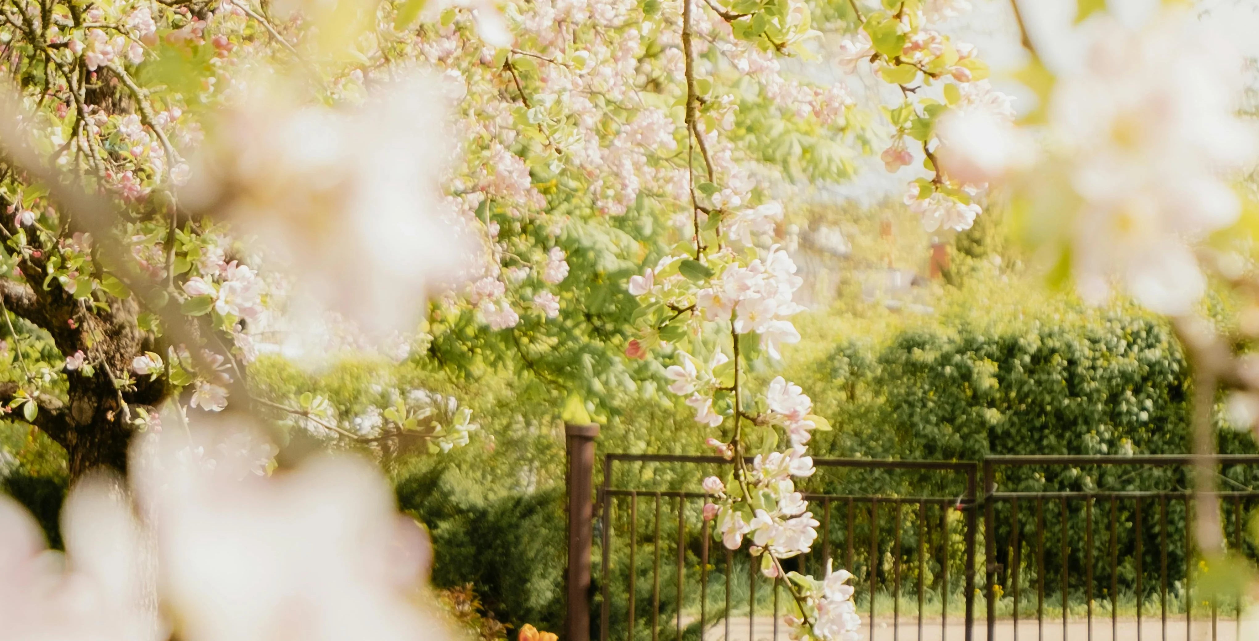 Spring Cleaning, But Make It Green