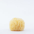 TheRefillShoppe_FaceSponge
