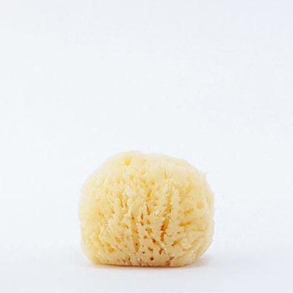 TheRefillShoppe_FaceSponge