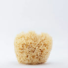 TheRefillShoppe_SeaSponge